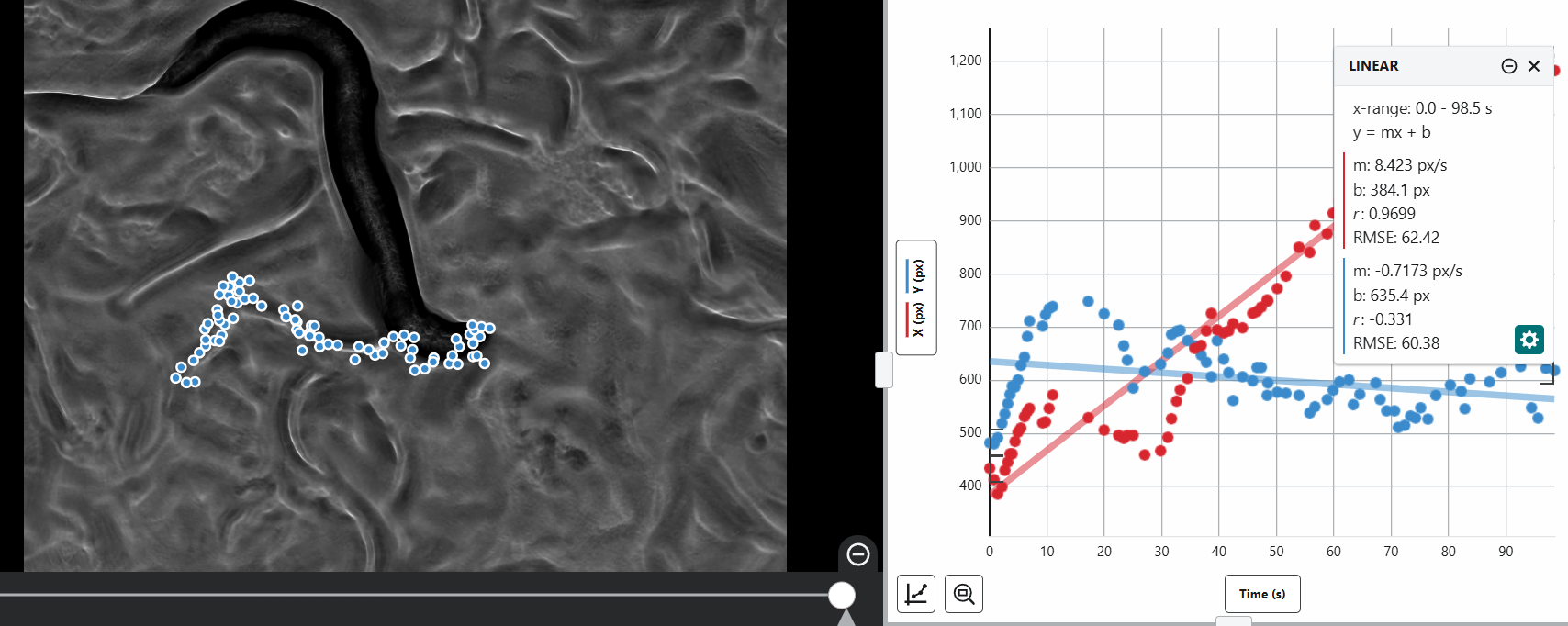 Mapping the movement of N2 worms using Vernier Video Analysis